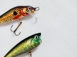 hooked inc unblocked