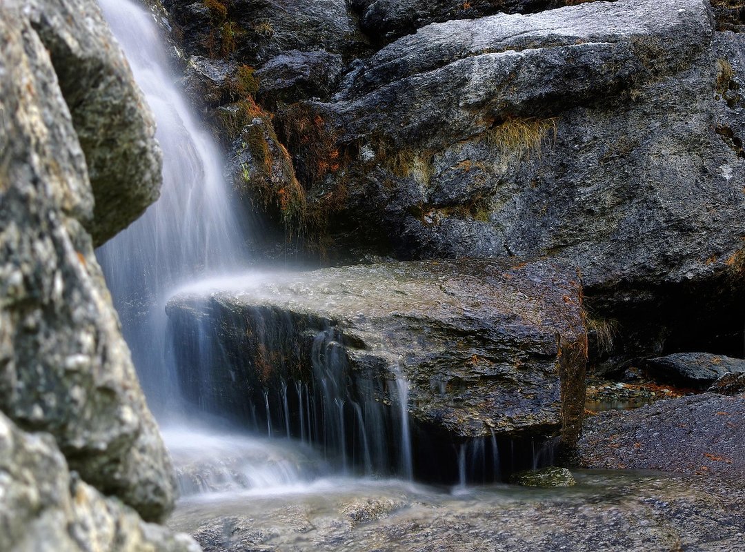 Understanding the Real Risks Before You Use a Torrent
