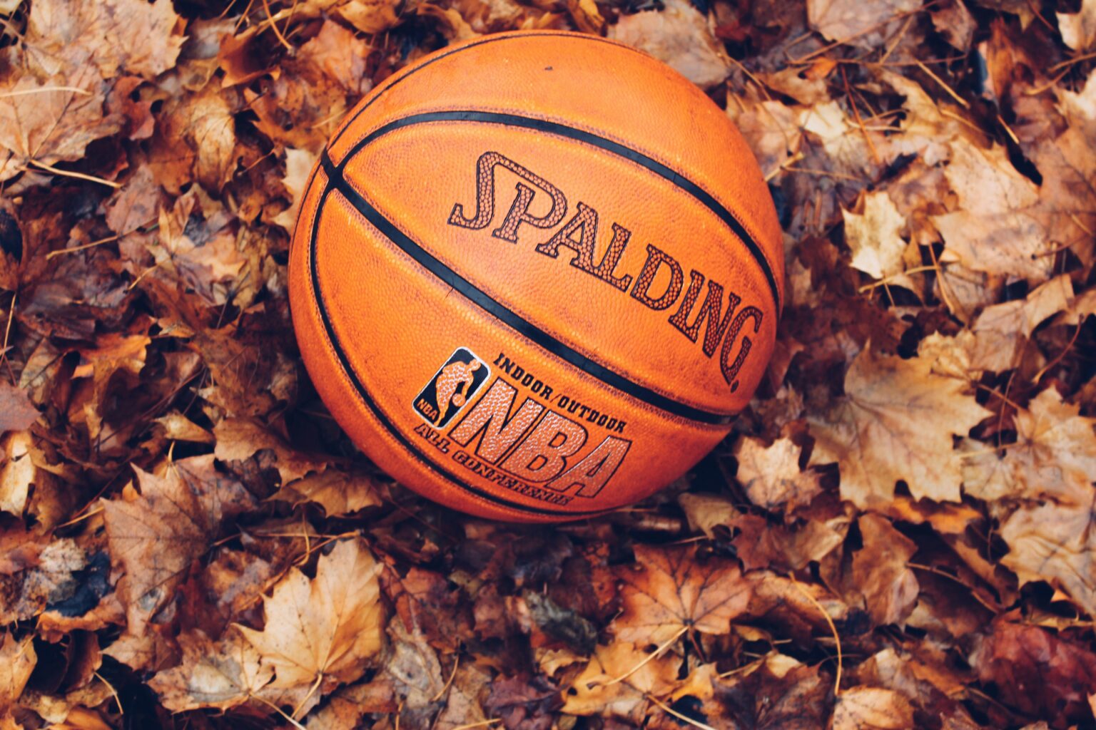The NBA Finals and Gaming Industry Continue to Grow Together